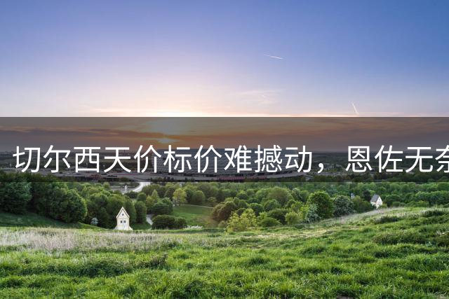 切尔西天价标价难撼动，恩佐无奈留队备战新赛季