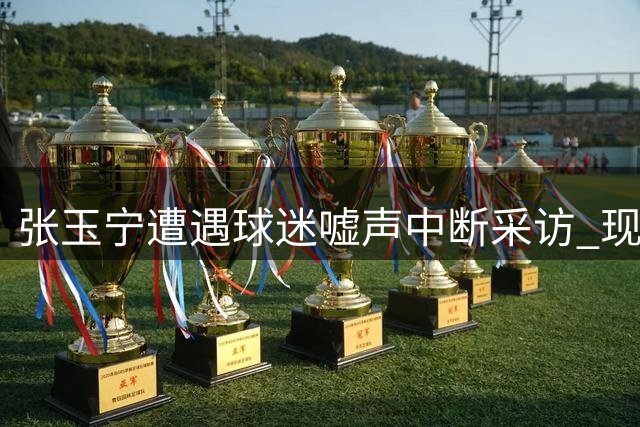 张玉宁遭遇球迷嘘声中断采访 现场爆发争议