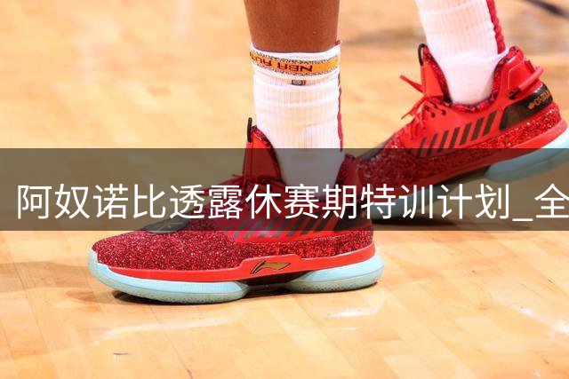阿奴诺比透露休赛期特训计划 全面提升攻守能力